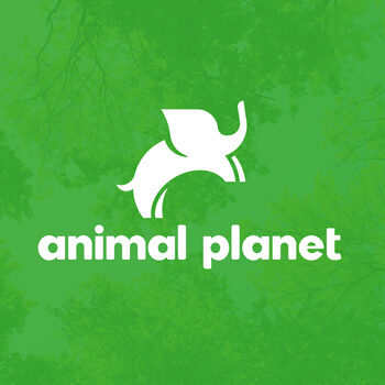 Example Image of Animals in Modern Branding